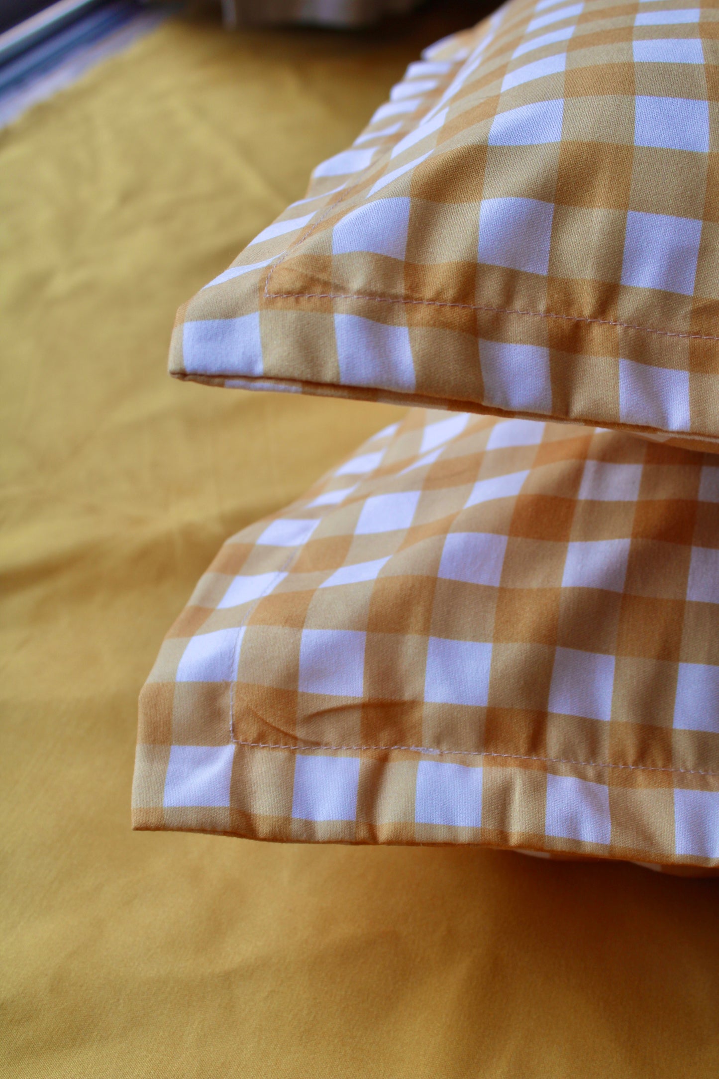 Mango Gingham Pillow Set of 2