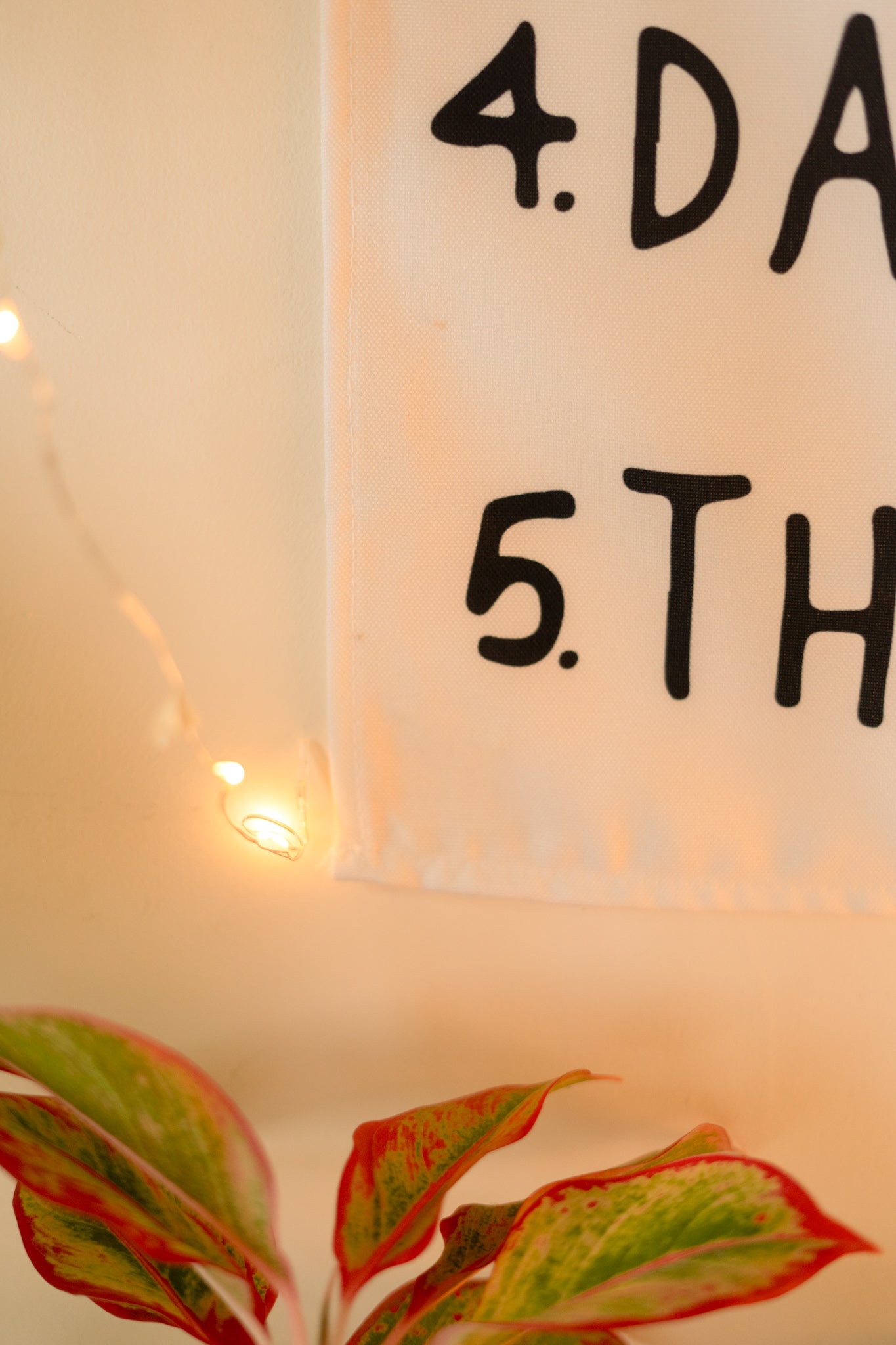 Close-up of the text on “The Boho Code” tapestry, highlighting playful fonts and vibrant, earthy colors.

